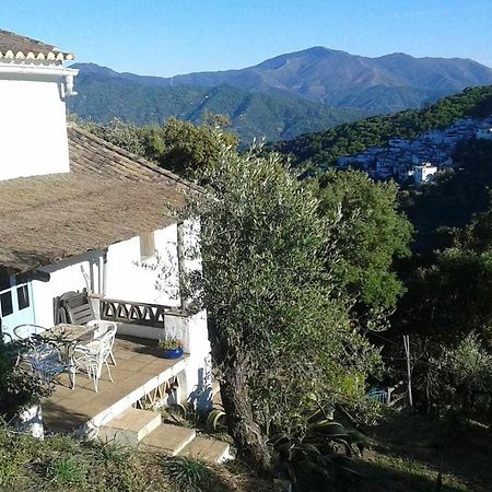 Casa El Chaparral Songbird Mountain Benadalid Exterior foto