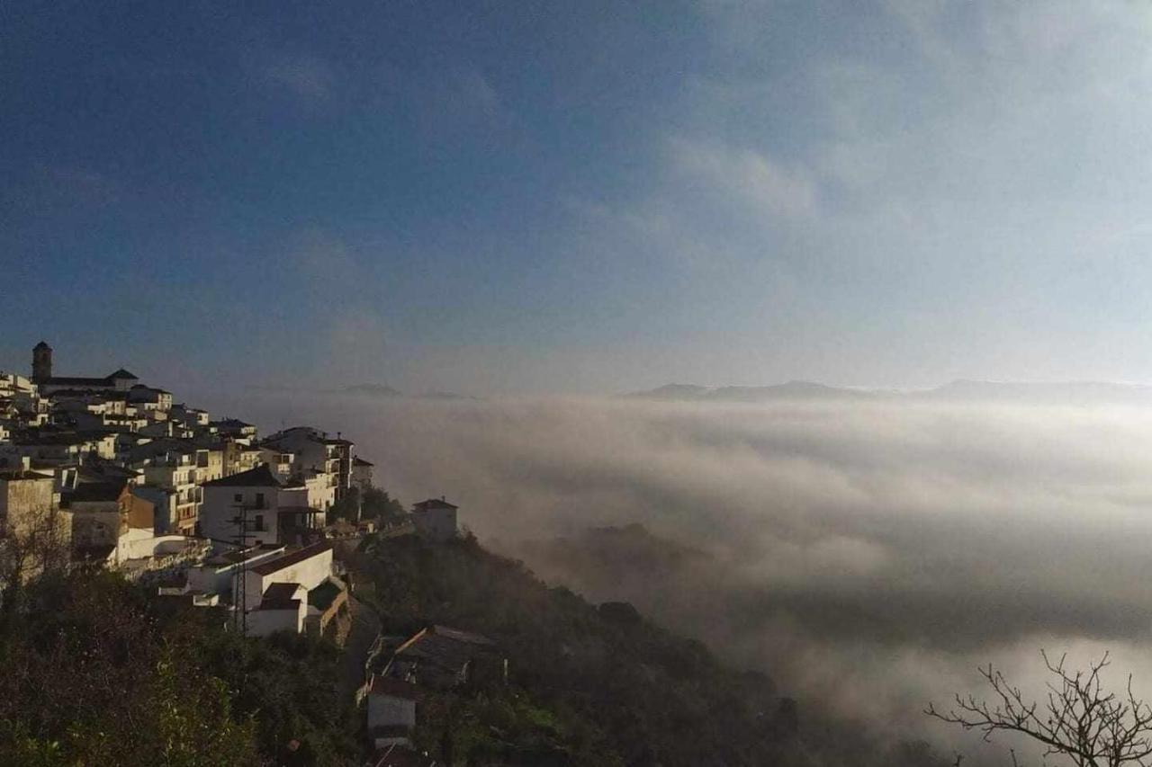 Casa El Chaparral Songbird Mountain Benadalid Exterior foto