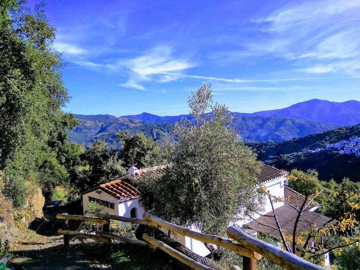 Casa El Chaparral Songbird Mountain Benadalid Exterior foto