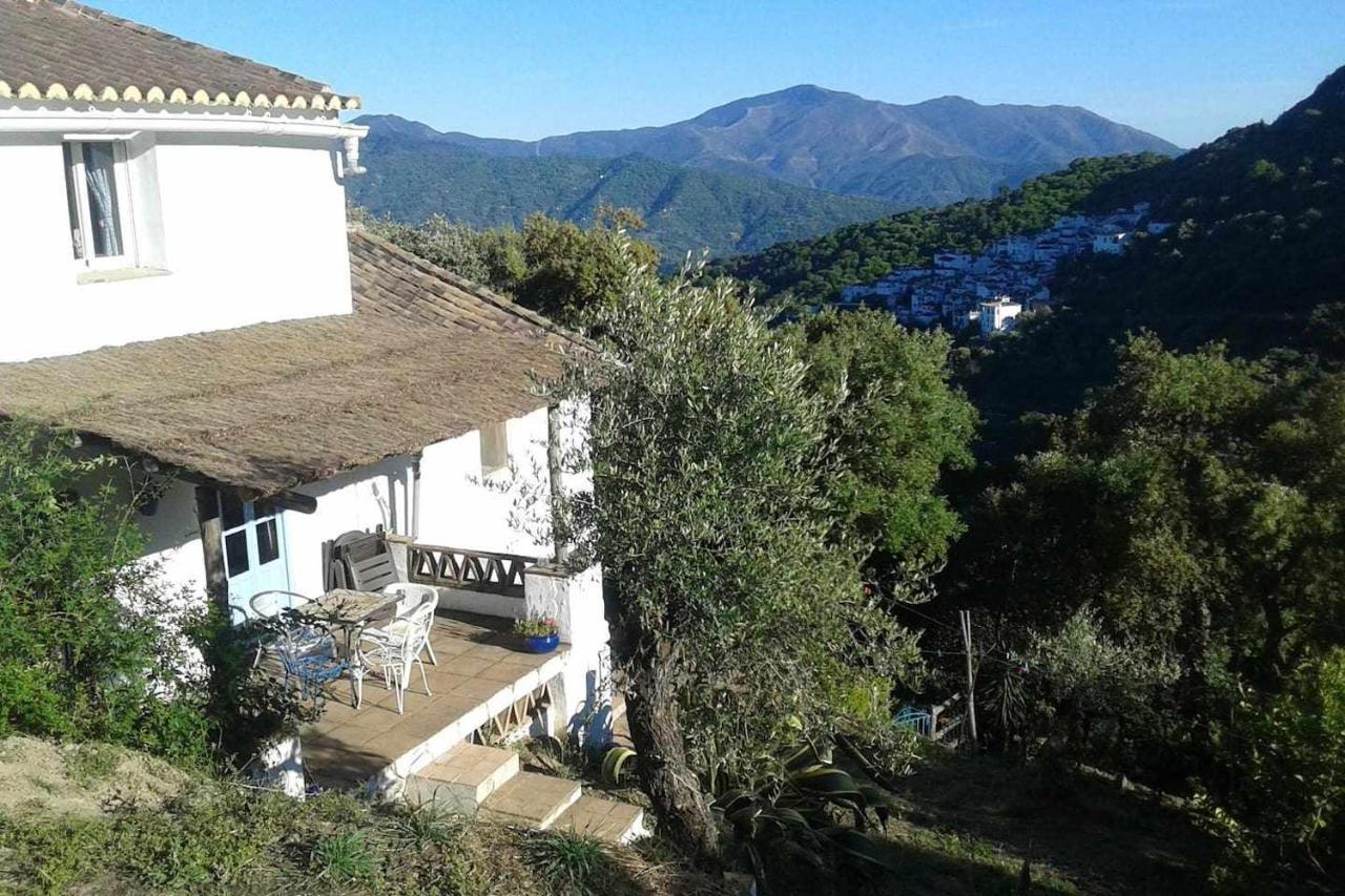 Casa El Chaparral Songbird Mountain Benadalid Exterior foto