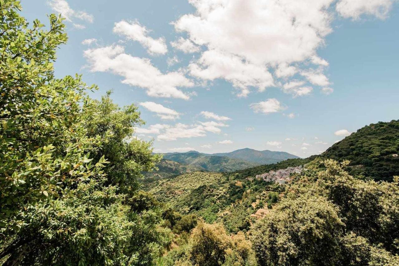 Casa El Chaparral Songbird Mountain Benadalid Exterior foto