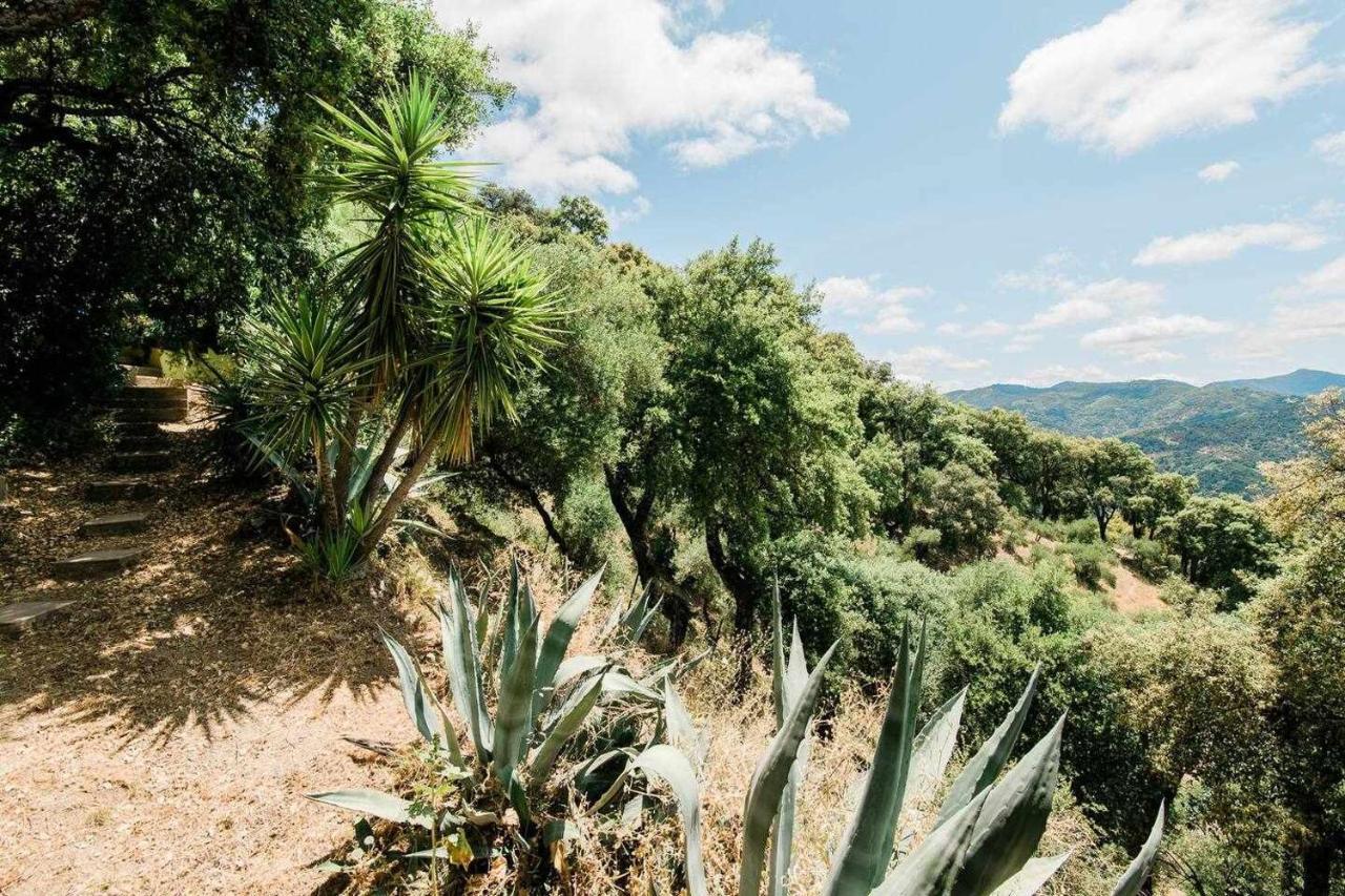 Casa El Chaparral Songbird Mountain Benadalid Exterior foto