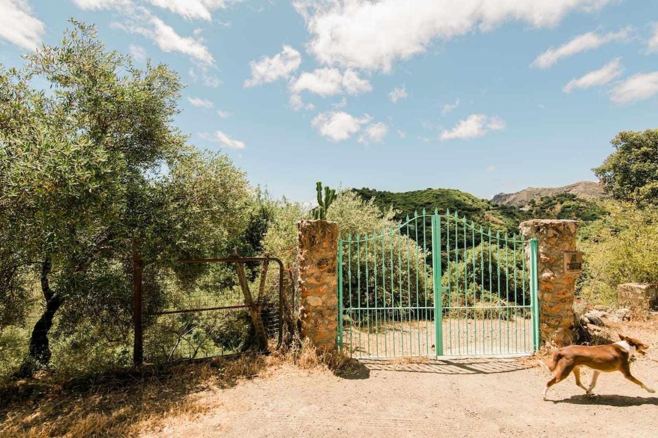 Casa El Chaparral Songbird Mountain Benadalid Exterior foto